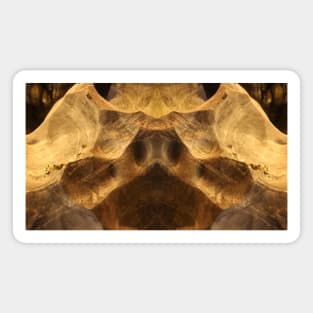 Abstract stretched pig snout on cave wall Magnet